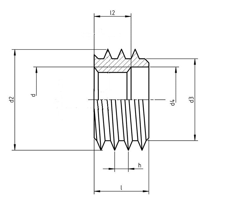 Insert Nut DIN7965 M6 Stainless Steel (SS303)