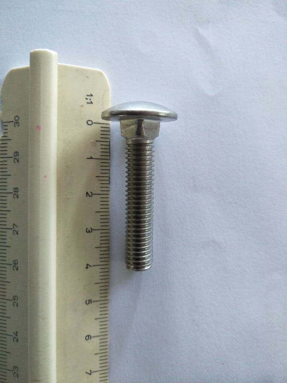 Mushroom head square neck bolts DIN603 M8 Stainless Steel (SS316)