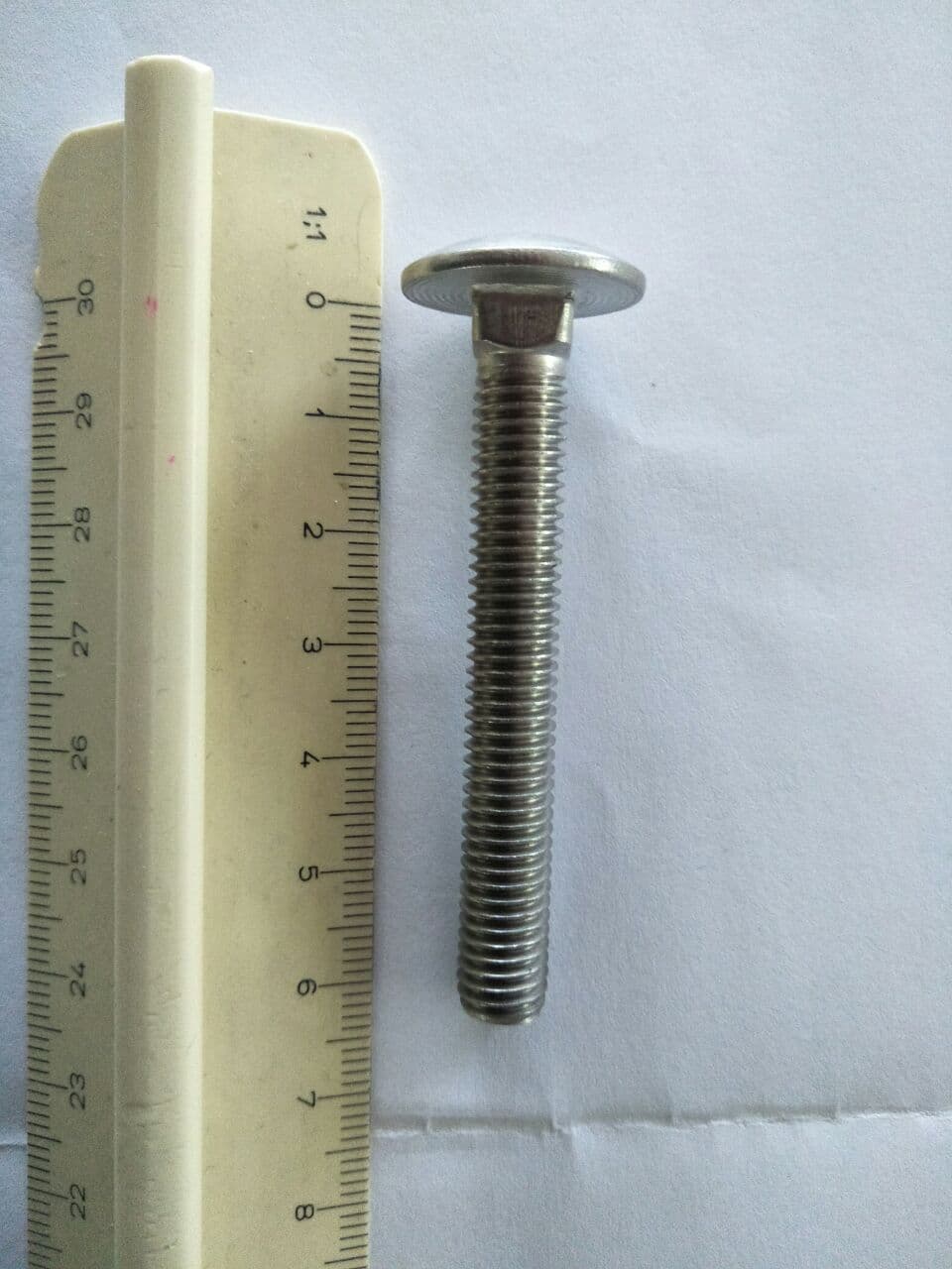 Mushroom head square neck bolts DIN603 M8 Stainless Steel (SS316)