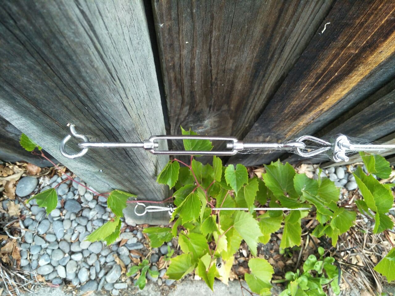 Espalier SET: all stainless parts will last forever *** make your own Espalier